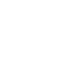 icon-perspektive